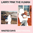    IDLES    Larry Pink The Human