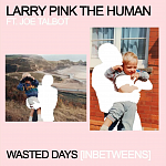    IDLES    Larry Pink The Human