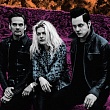       The Dead Weather