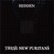 These New Puritans - Hidden