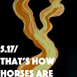      Thats How Horses Are
