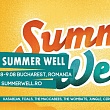 LSF: Summer Well Festival
