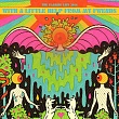 The Flaming Lips  With A Little Help From My Fwends